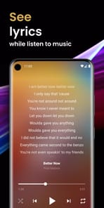 Offline Music Player APK screenshot 1