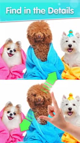 Find Differences Puzzle Game APK screenshot 1