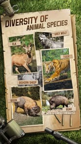 Hunting Sniper APK screenshot 1