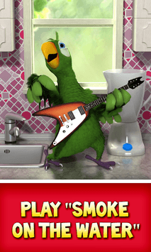 Talking Pierre the Parrot APK screenshot 1 Talking Pierre the Parrot APK screenshot 1