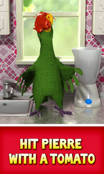 Talking Pierre the Parrot APK screenshot 1 Talking Pierre the Parrot APK screenshot 1