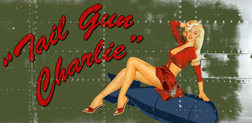 install Tail Gun Charlie - WW2 Bomber Shooting Game on PC