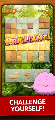 Blockscapes - Block Puzzle APK screenshot 1