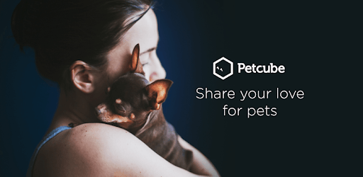 install Petcube on PC