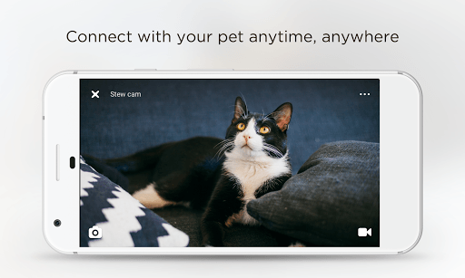 Petcube APK screenshot 1