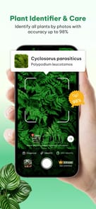 Plant Identifier & Plant Care APK screenshot 1
