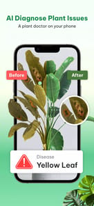 Plant Identifier & Plant Care APK screenshot 1