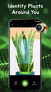 Plant ID - AI Plant Identifier APK screenshot 1 Plant ID - AI Plant Identifier APK screenshot 1