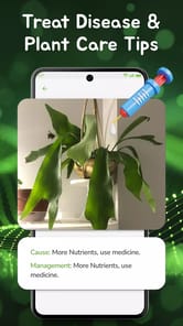Plant ID - AI Plant Identifier APK screenshot 1 Plant ID - AI Plant Identifier APK screenshot 1