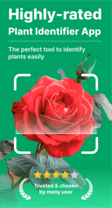 AI Plant Identifier & Care APK screenshot 1