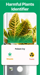 AI Plant Identifier & Care APK screenshot 1