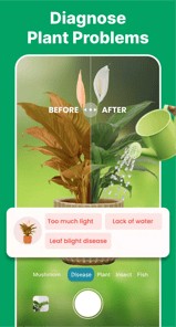 AI Plant Identifier & Care APK screenshot 1