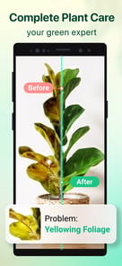 Plant Parent APK screenshot 1