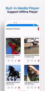 Video Downloader for Pinterest APK screenshot 1