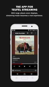 Teufel Raumfeld APK screenshot 1