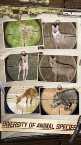 Hunting Sniper APK screenshot 1