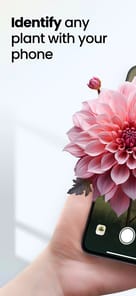 Plant App - Plant Identifier APK screenshot 1