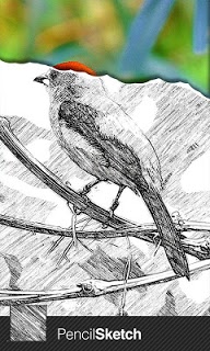 Sketch Guru APK screenshot 1
