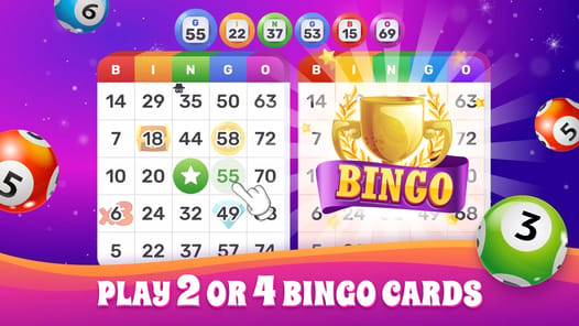 Bingo Lotto APK screenshot 1