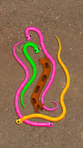 Snake Knot APK screenshot 1