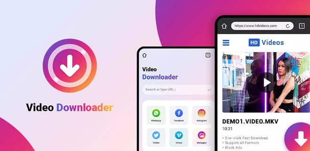 Video Downloader APK screenshot 1