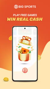 Big Sports APK screenshot 1