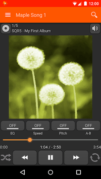 Maple Player JB APK screenshot 1