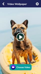 Video Live Wallpaper - HD Wall APK screenshot 1
