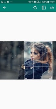 Drawing Grid For The Artist APK screenshot 1