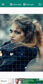 Drawing Grid For The Artist APK screenshot 1