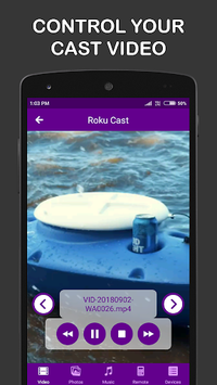 Cast for Roku APK screenshot 1