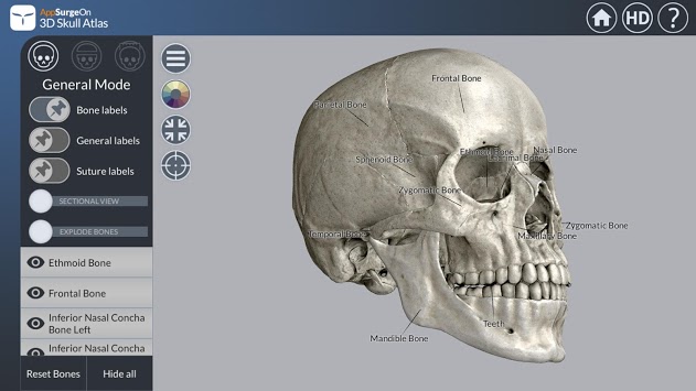 3D Skull Atlas APK screenshot 1
