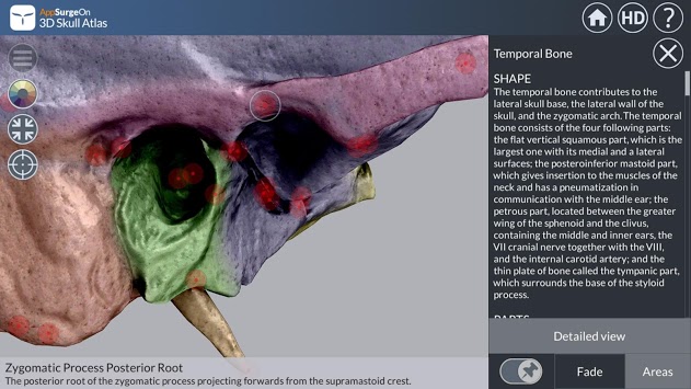 3D Skull Atlas APK screenshot 1