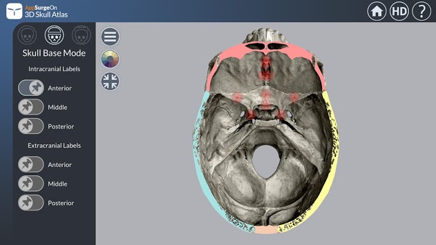 3D Skull Atlas APK screenshot 1