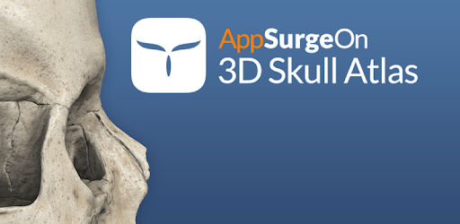 install 3D Skull Atlas on PC