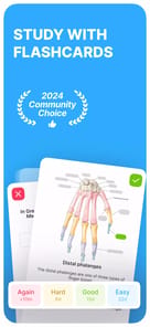 Noji: Study with Flashcards APK screenshot 1
