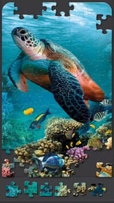 Jigsaw Puzzles for Adults APK screenshot 1