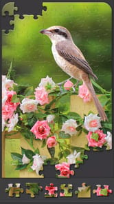 Jigsaw Puzzles for Adults APK screenshot 1