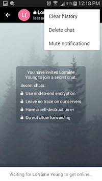 Mini Chat APK screenshot 1 Mini Chat APK screenshot 1