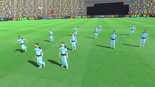 Real Championship Cricket Game APK screenshot 1