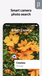 Yandex with Alice (beta) APK screenshot 1