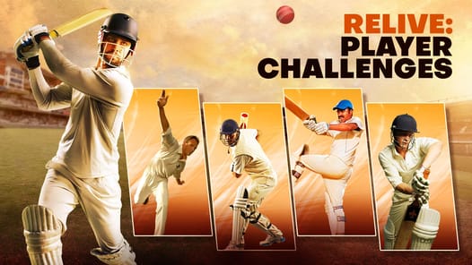 Cricket World Champions APK screenshot 1