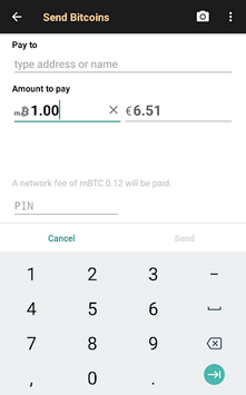 Bitcoin Wallet APK screenshot 1