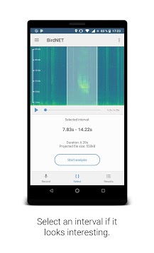 BirdNET: Bird sound identification APK screenshot 1 BirdNET: Bird sound identification APK screenshot 1