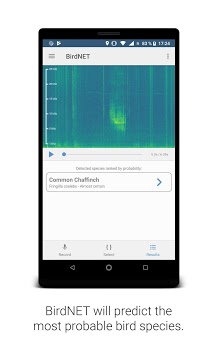 BirdNET: Bird sound identification APK screenshot 1 BirdNET: Bird sound identification APK screenshot 1