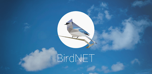 Install BirdNET: Bird sound identification on PC install BirdNET: Bird sound identification on PC