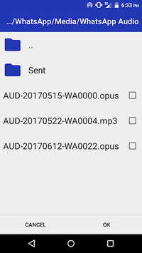 Opus File Player APK screenshot 1