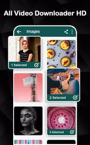All Video Downloader HD APK screenshot 1