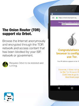 InBrowser - Incognito Browsing APK screenshot 1