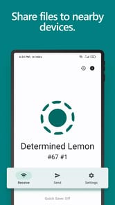 LocalSend APK screenshot 1